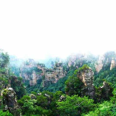 烟雨张家界