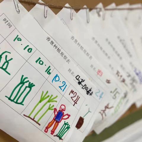 中三班班本课程 《“葱葱”相遇》