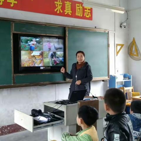 龙阳镇史村学区常识组集体备课及教学研讨活动