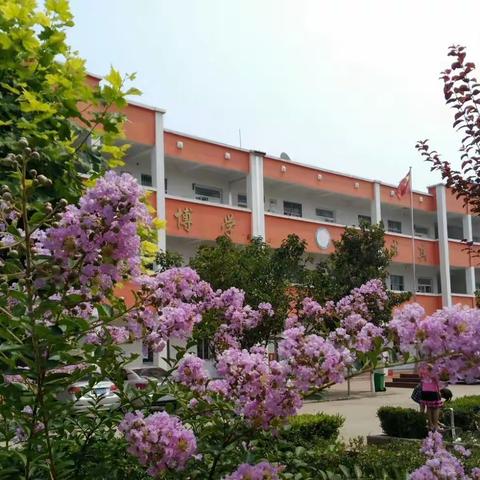 龙阳镇史村小学组织全体教师观看十九大开幕式