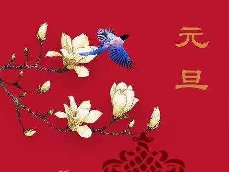 线上相约，童心贺新年——六一班迎元旦线上联欢会