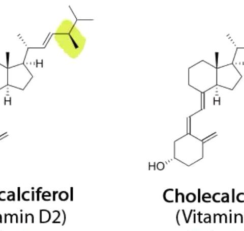 维生素D、阿法骨化醇、骨化三醇的区别