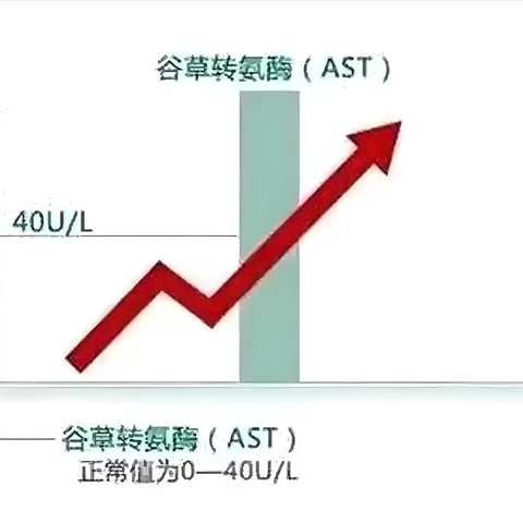 转氨酶升高的临床意义