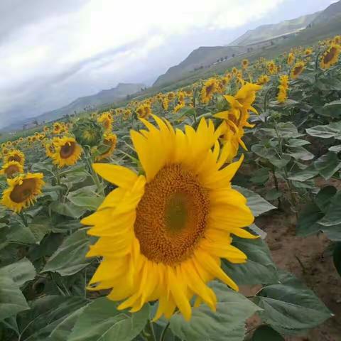 人生很贵，请别浪费！！！