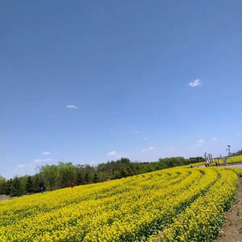 2017，5，14母亲节记忆