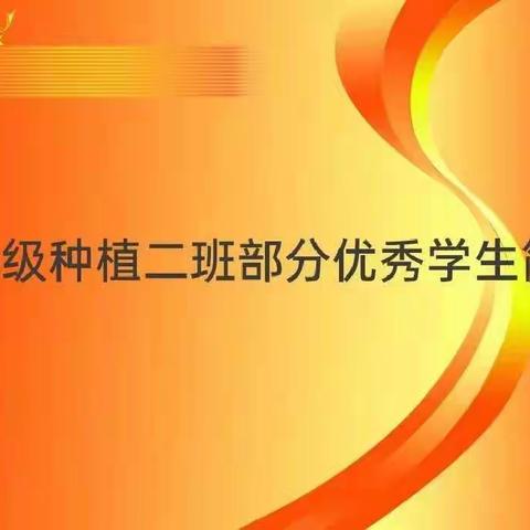 19种植2班部分优秀学生简介