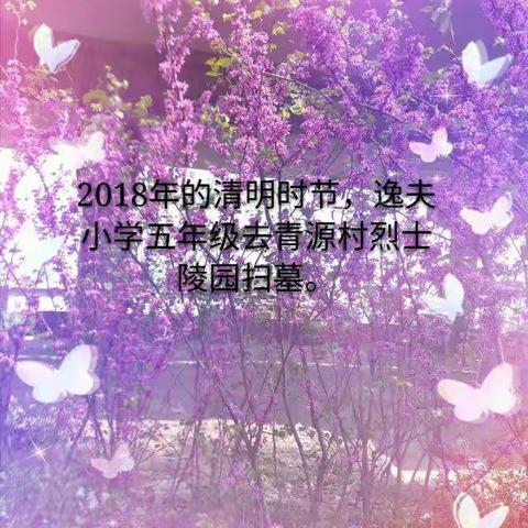 2018年清明节扫墓活动！