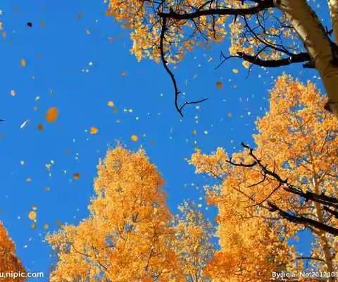 宁阳支行:储蓄国债（电子式）提前兑付小提示