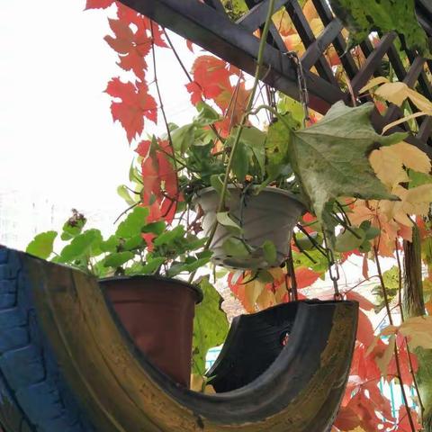 昌平城北中心小学学习纪行------ 习惯点亮人生