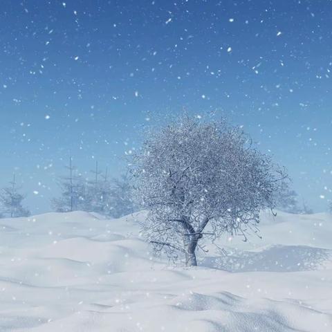 雪花