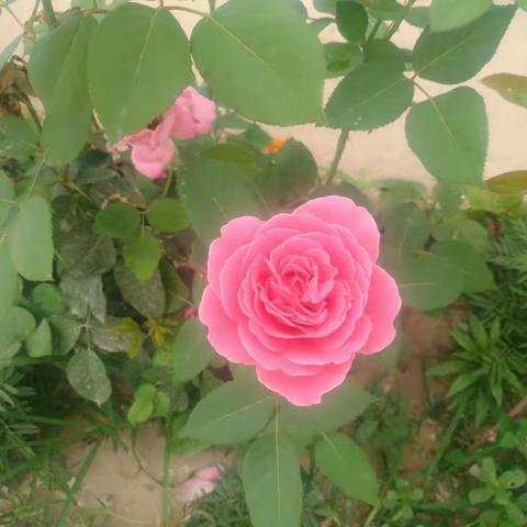 让我们记住这美好的瞬间吧！