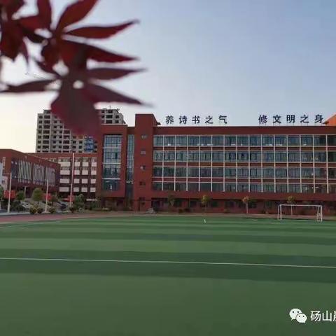 落实“双减”工作，提高教学质量——三年级教研组公开课活动纪实