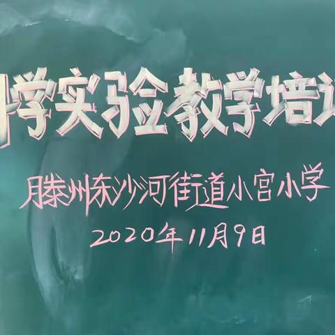 东沙河街道小宫小学科学实验教学培训