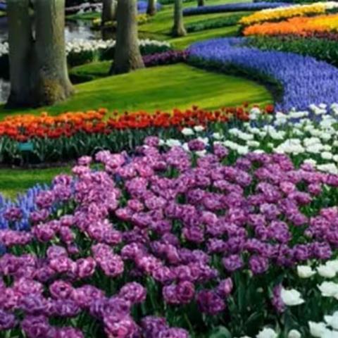 抗击疫情，“疫”起行动