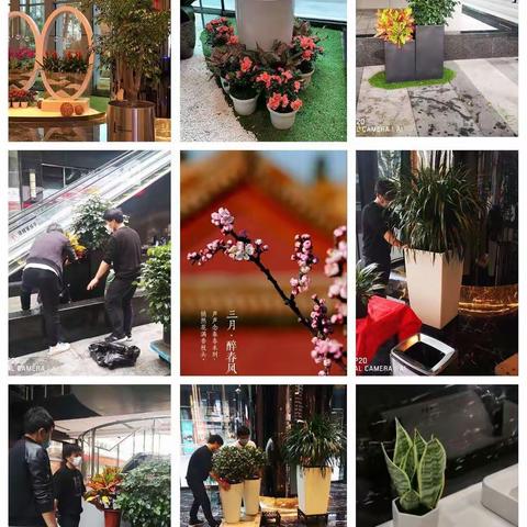 清明时节，万物复苏