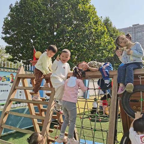 宁远县直属机关幼儿园星星二班11月精彩回顾