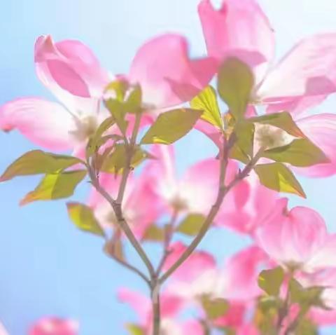 凝“新”聚力       共话成长——2023年漯河市实验小学青年教师座谈会