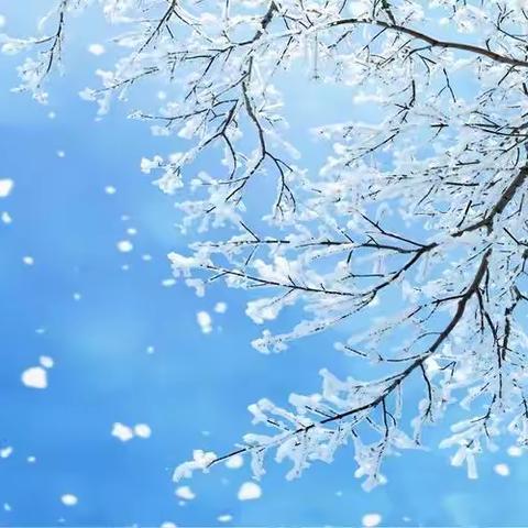 硕果盈枝忆往昔   携手共进向未来——漯河市实验小学2022-2023学年上学期期末线上教学总结会