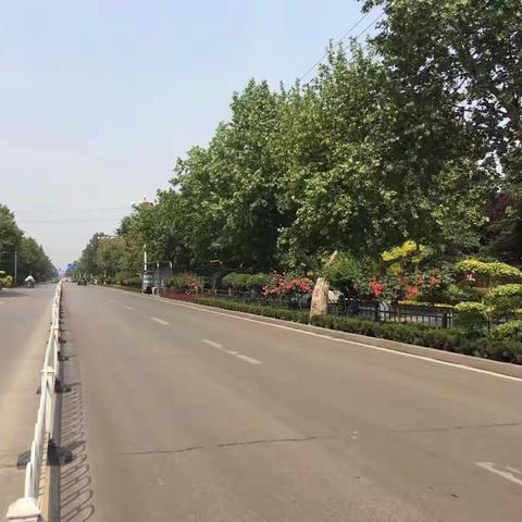 创建文明城！园林在行动！