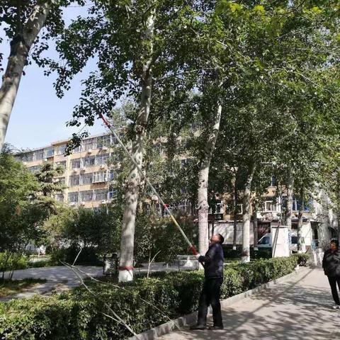 园林绿化管护工作