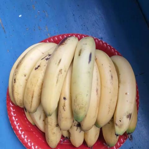 大班水果餐