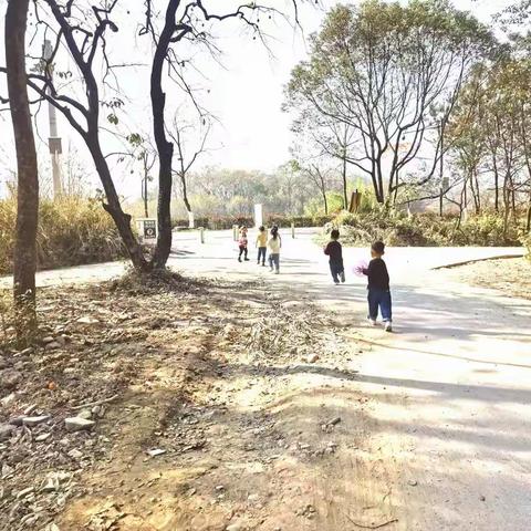 暖心冬日，亲近自然——小四班家委会亲子活动