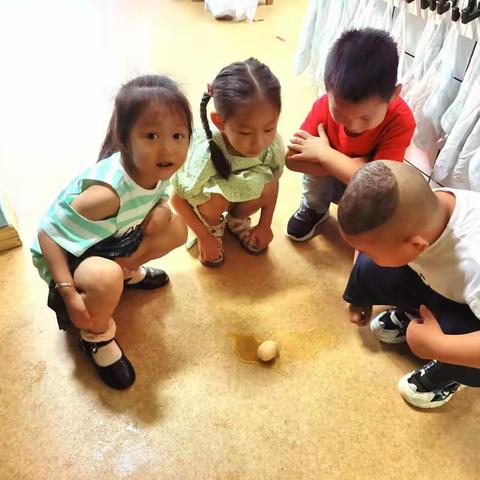 乐享生活，奇趣妙蛋——小四班课程故事