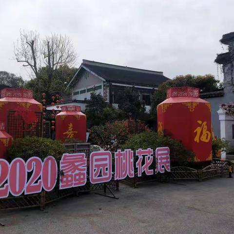 2020年三月游蠡园桃花节