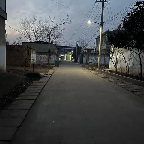 张得镇张东村抗疫记录