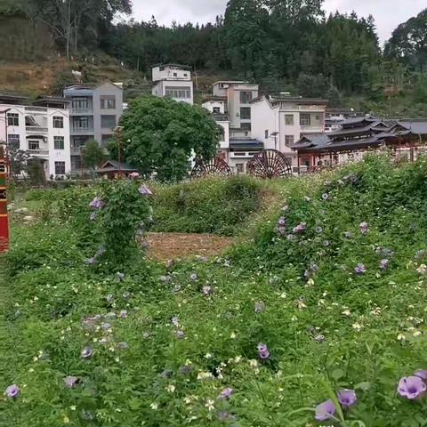 巫山一段云·纳鲁风貌