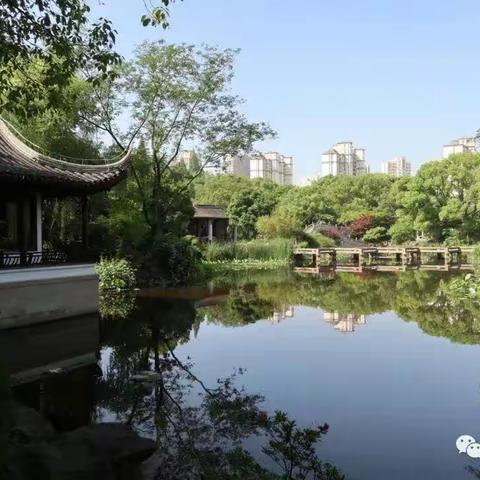 荷塘夏韵