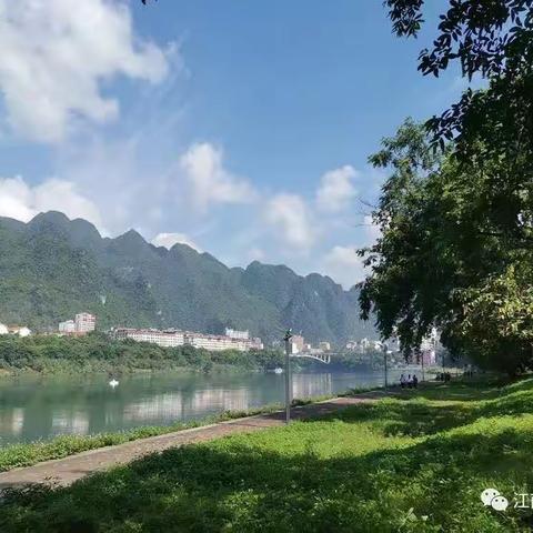 林间吟