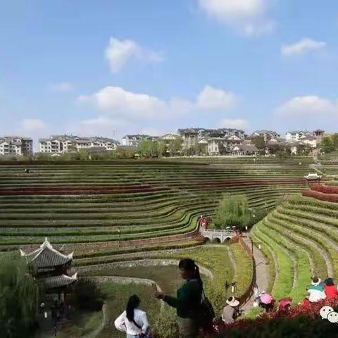 鹧鸪天·黔中游思