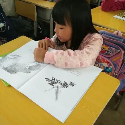 红星小学一年级------阅读分享