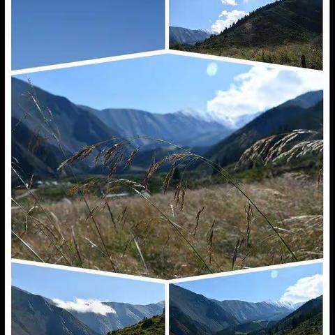 博州分公司分批组织开展员工“幸福1+1”及渠道联谊与团队拓展活动