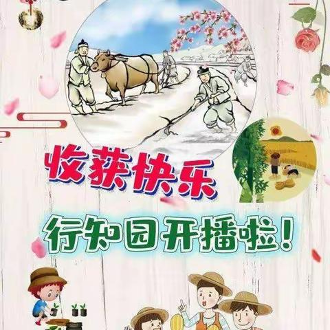 【饮泉小学行知劳动实践之菜菜家园】——体验劳动，收获快乐。