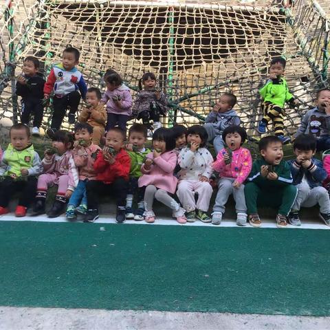 九月九——重阳节 —