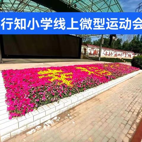 生命因运动而精彩——西宁市行知小学首届线上体育运动会掠影