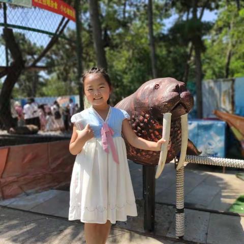 夏日共游嗨起来