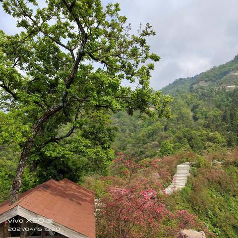 春临大别游天峡