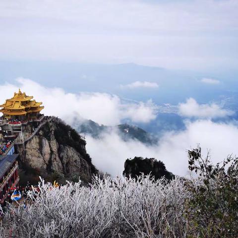 鸡冠洞洞天飞龙   老君山山高水长