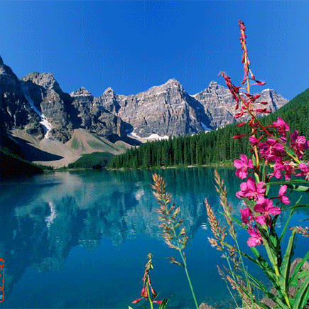 《选择刻苦才能与敬业接轨》议论文