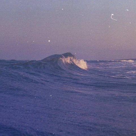 《努力是证明事业的法度》（议论文）