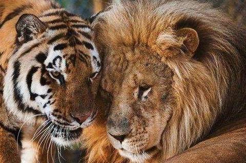 《让规律来守护道德观念》议论文