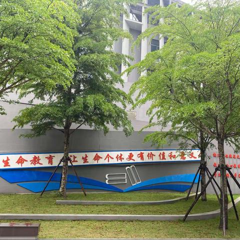 生命教育，让生命个体更有价值和意义！——椰博小学停课不停学之“创新性作业”（一）