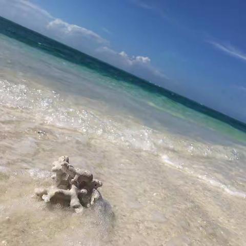 琼台师范学院附属幼儿园2019学前教育宣传月走进三沙市