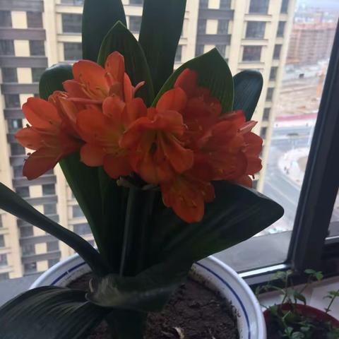 生活中的一切美好都来自于我们拥有一双欣赏美的眼睛！