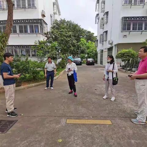 海口市疾控中心积极开展白龙新村蚊虫密度监测与孳生地调查工作