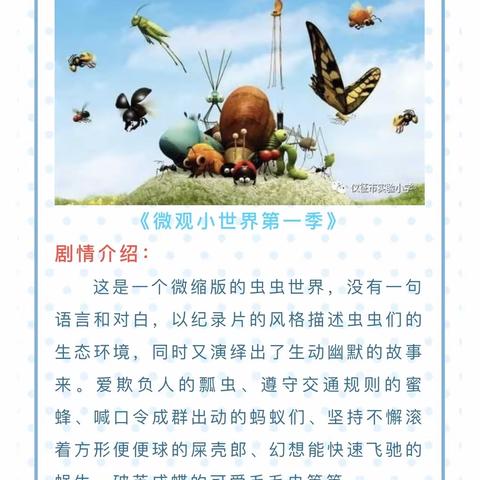 五个一百工程—二年级《微观小世界》观后感