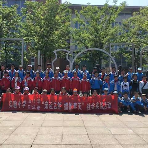 实验小学五9班“亲近自然 拥抱春天”社会实践活动（副本）
